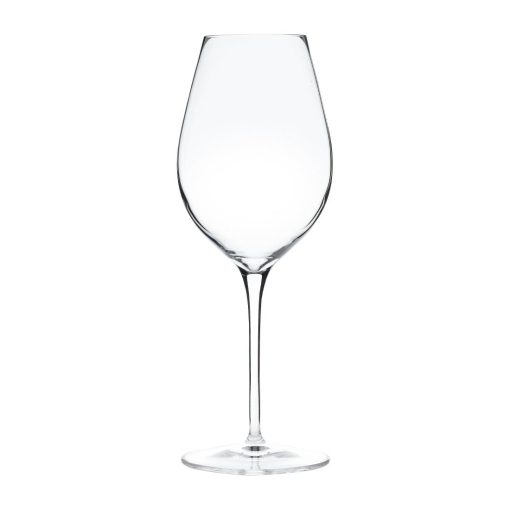 Luigi Bormioli Vinoteque Maturo Wine Glasses 490ml-17-25oz 24 Pack (FM152)