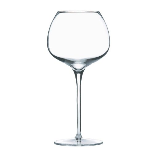 Luigi Bormioli Super Wine Glasses 600ml-21oz 12 Pack (FM153)
