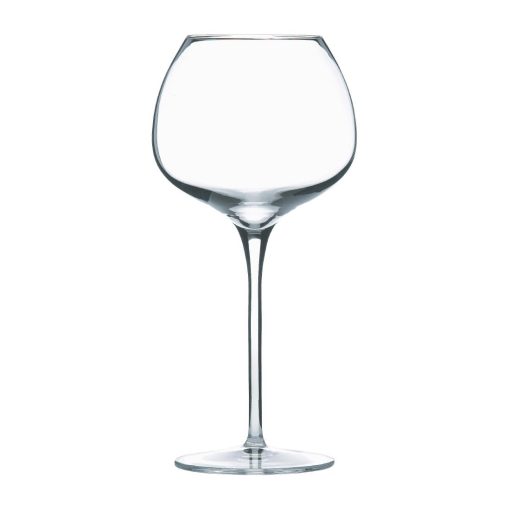 Luigi Bormioli Super Wine Glasses 800ml-28-25oz 12 Pack (FM154)
