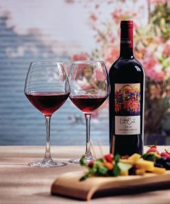 Chef and Sommelier Cabernet Vins Jeunes Wine Glasses 470ml 24 pack (HR727)