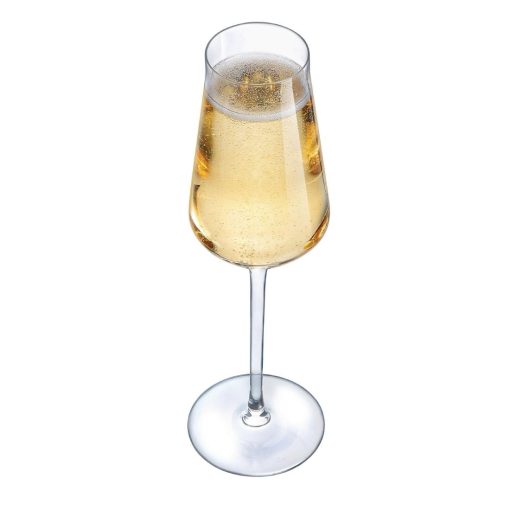 Chef and Sommelier Reveal Up Flutes 210ml 24 Pack (HR881)