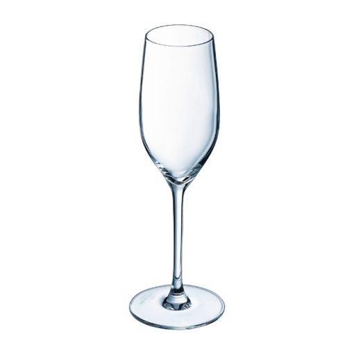 Chef and Sommelier Sequence Flutes 170ml 24 pack (HR891)