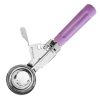 Hygiplas Ice Cream Scoop Purple 50ml (HT782)
