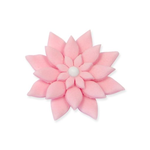 PME Floral Daisy Plunger Cutter Marguerite 4 Pack (HZ048)