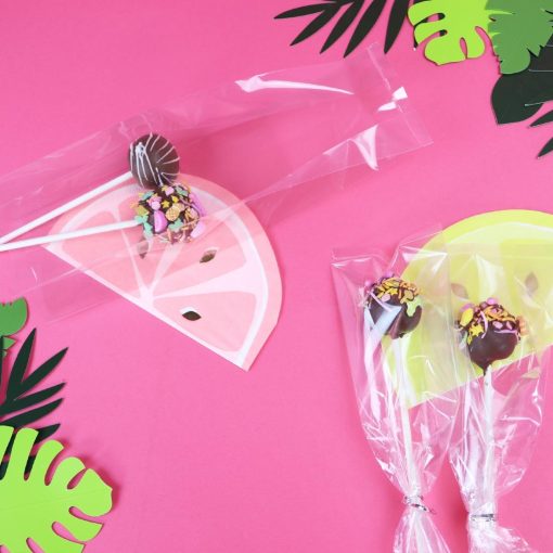 PME Cake Pop Bags with Silver Ties 254x76mm 25 Pack (HZ061)