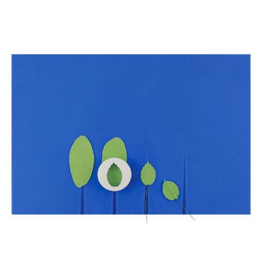 PME Small Veined Rolling Out Board 250x170x8mm (HZ074)