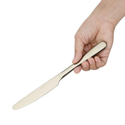 Olympia Buckingham Table Knives Champagne Gold 12 Pack (HZ231)