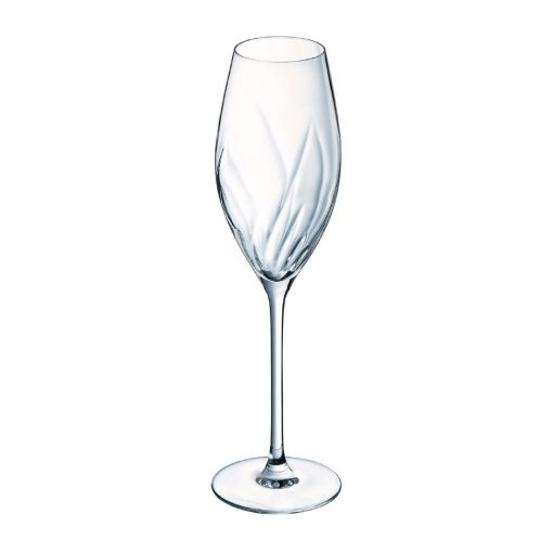 Cristal dArques Swirly Flute Glasses 240ml 8 Pack (HZ402)