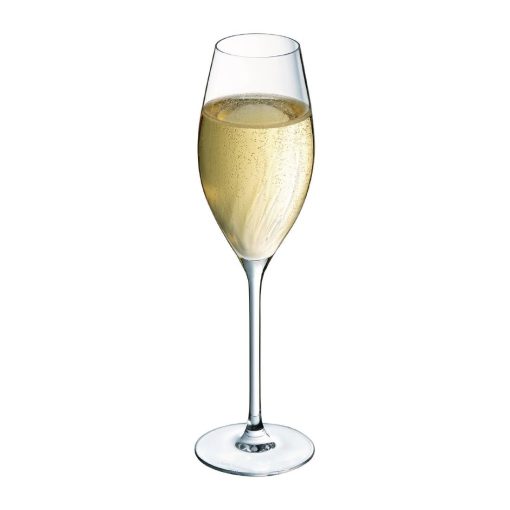 Cristal dArques Swirly Flute Glasses 240ml 8 Pack (HZ402)