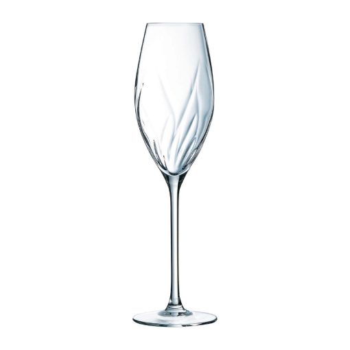 Cristal dArques Swirly Flute Glasses 240ml 8 Pack (HZ402)