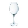Chef and Sommelier Exaltation Wine Glasses 550ml 12 pack (HZ412)