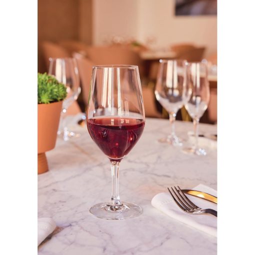 Chef and Sommelier Evidence Wine Glasses 450ml 24 pack (HZ424)