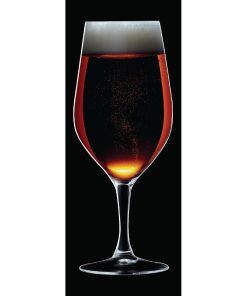 Chef and Sommelier Evidence Wine Glasses 450ml 24 pack (HZ424)