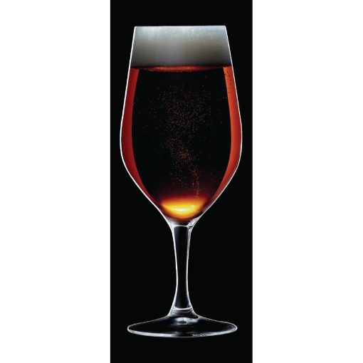 Chef and Sommelier Evidence Wine Glasses 450ml 24 pack (HZ424)