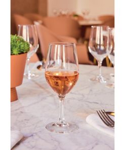 Chef and Sommelier Evidence Wine Glasses 270ml 24 pack (HZ426)