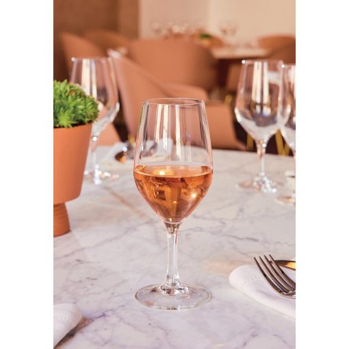 Chef and Sommelier Evidence Wine Glasses 270ml 24 pack (HZ426)