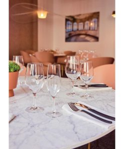 Chef and Sommelier Evidence Wine Glasses 270ml 24 pack (HZ426)