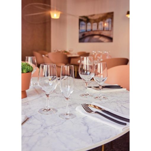 Chef and Sommelier Evidence Wine Glasses 270ml 24 pack (HZ426)