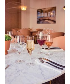 Chef and Sommelier Evidence Wine Glasses 270ml 24 pack (HZ426)