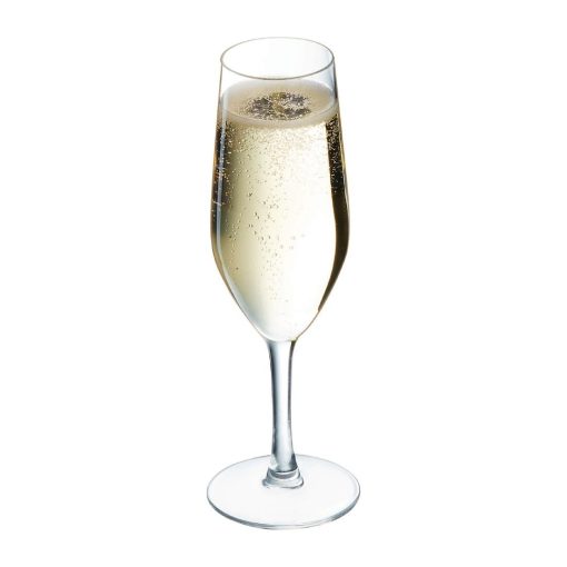 Chef and Sommelier Evidence Flute Glasses 160ml 24 pack (HZ427)