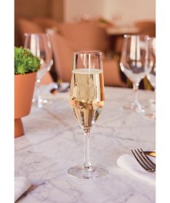 Chef and Sommelier Evidence Flute Glasses 160ml 24 pack (HZ427)