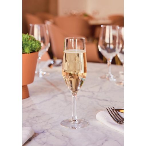 Chef and Sommelier Evidence Flute Glasses 160ml 24 pack (HZ427)