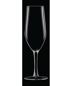 Chef and Sommelier Evidence Flute Glasses 160ml 24 pack (HZ427)