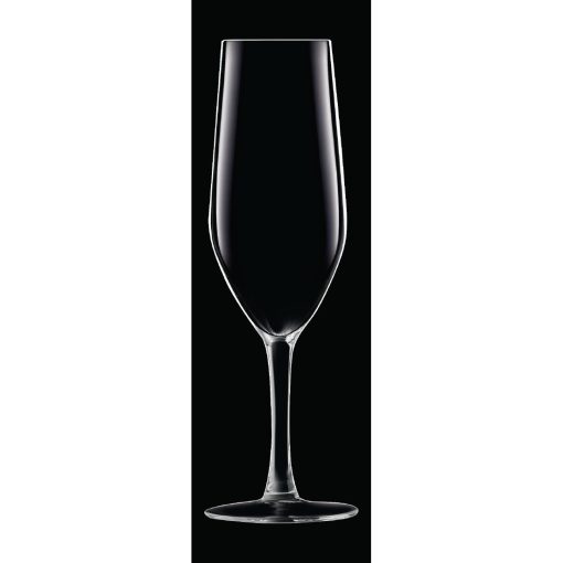 Chef and Sommelier Evidence Flute Glasses 160ml 24 pack (HZ427)