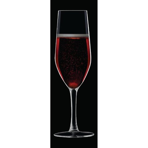 Chef and Sommelier Evidence Flute Glasses 160ml 24 pack (HZ427)