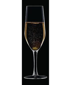 Chef and Sommelier Evidence Flute Glasses 160ml 24 pack (HZ427)