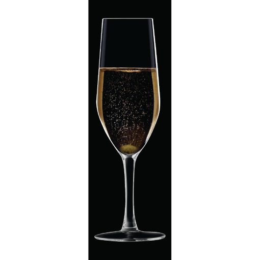 Chef and Sommelier Evidence Flute Glasses 160ml 24 pack (HZ427)