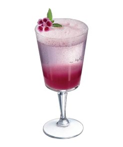 Arcoroc Monti Goblets 270ml 12 Pack (HZ437)