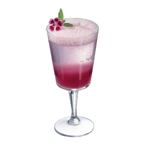 Arcoroc Monti Goblets 270ml 12 Pack (HZ437)