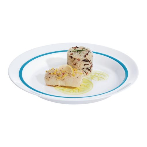 Arcoroc Autonomy Blue Plates 230mm 12 pack (HZ441)