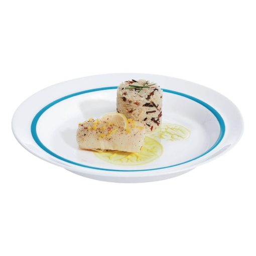 Arcoroc Autonomy Blue Plates 190mm 12 pack (HZ442)