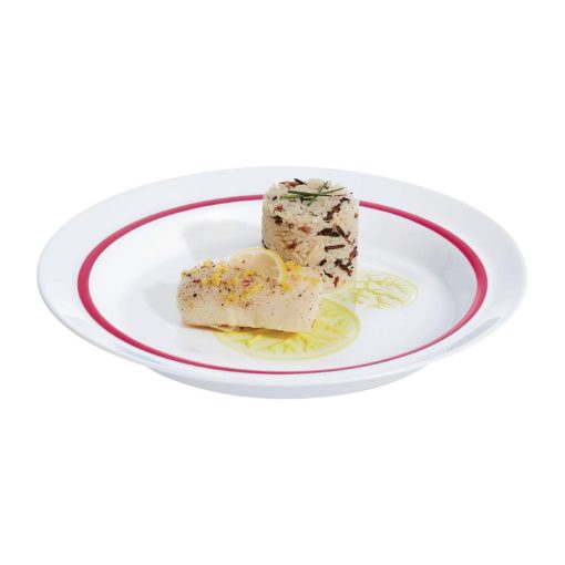 Arcoroc Autonomy Red Plates 230mm 12 pack (HZ443)