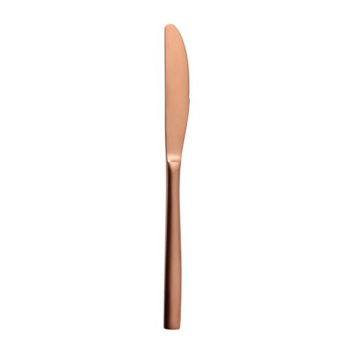 Comas BCN Copper Dessert Knives 12 Pack (JC561)