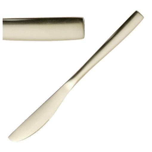 Comas BCN Champagne Table Knives 12 Pack (JC564)