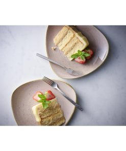 Churchill Stonecast Truffle Evolve Coupe Plates 260mm 12 Pack (JC736)