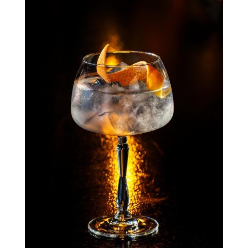 Onis New Era Gin Glasses 590ml-29oz 6 Pack (JD302)