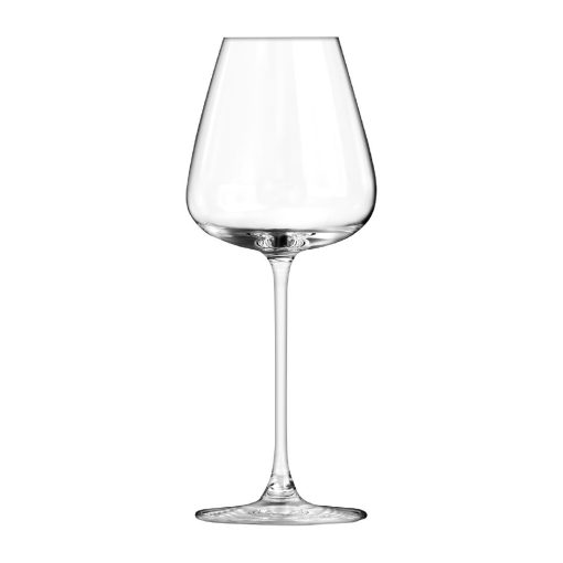 Onis Bespoke White Wine Glasses 410ml-14-5oz 6 Pack (JD377)