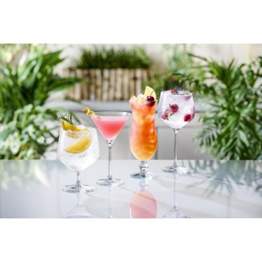 Royal Leerdam Specials Cocktails Tall Stem Gin Glasses 650ml-23oz 6 Pack (JD394)