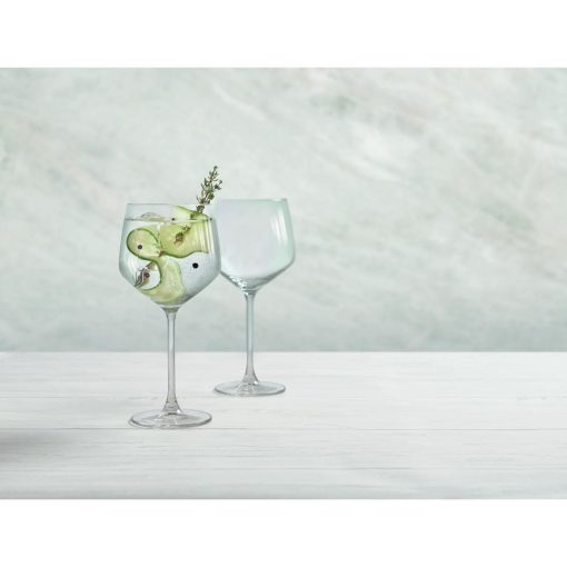 Royal Leerdam Specials Cocktails Tall Stem Gin Glasses 650ml-23oz 6 Pack (JD394)