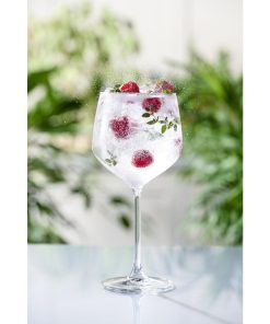 Royal Leerdam Specials Cocktails Tall Stem Gin Glasses 650ml-23oz 6 Pack (JD394)