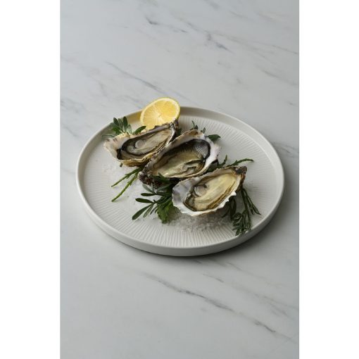 Churchill Bamboo White Walled Plate 260mm 6 Pack (DX127)