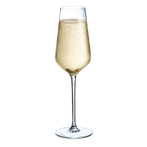 Arcoroc Distinction Champagne Flutes 230ml 24 Pack (HW232)