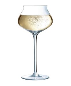 Arcoroc Macaron Fascination Champagne Flutes 300ml 24 pack (HW243)