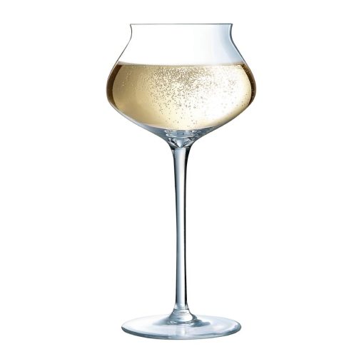Arcoroc Macaron Fascination Champagne Flutes 300ml 24 pack (HW243)