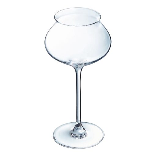 Arcoroc Macaron Fascination Champagne Flutes 300ml 24 pack (HW243)