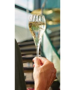 Chef and Sommelier Symetrie Champagne Flutes 160ml 24 pack (HW248)